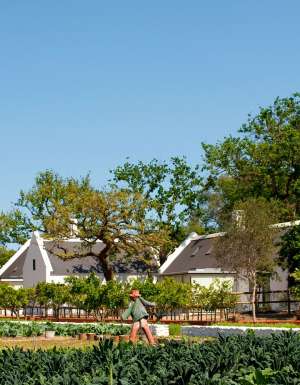 Babylonstoren farm hotel, South Africa.