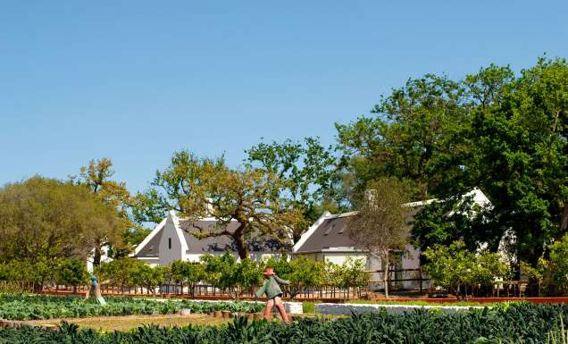 Babylonstoren farm hotel, South Africa.