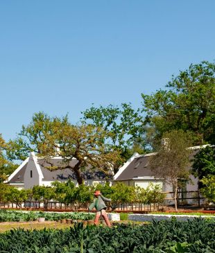 Review: Babylonstoren farm hotel, South Africa