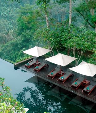 Bali Bliss 101