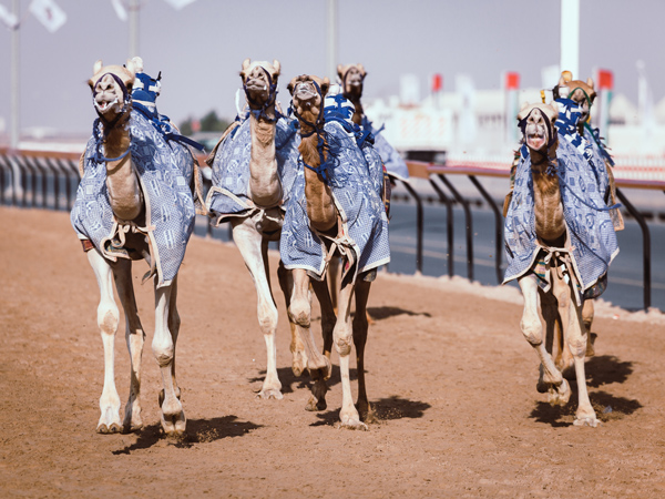 Al Marmoom