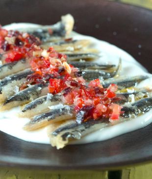 A culinary journey in Spain with Frank Camorra