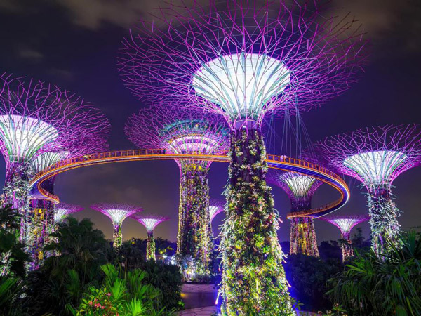 Gardens by the bay