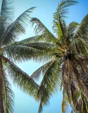 The Gambier Islands, French Polynesia.
