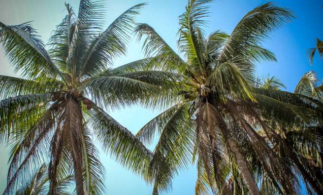 The Gambier Islands, French Polynesia.