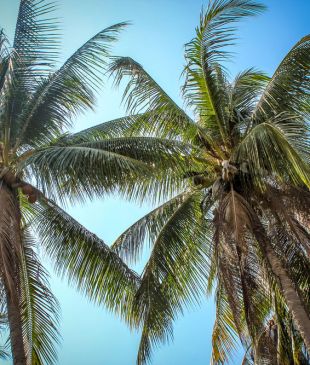 Must-visit Pacific Islands: The Gambier Islands