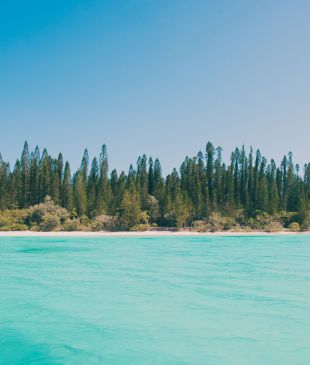 Pining for the Perfect Isle