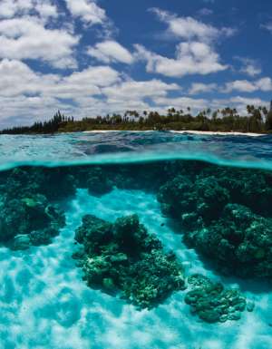 Mare, New Caledonia.