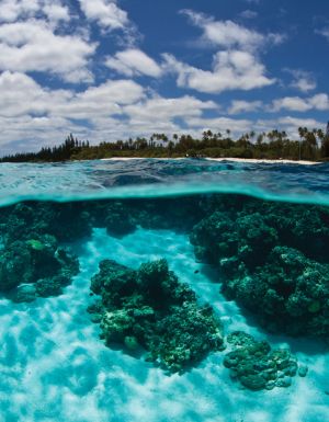 Mare, New Caledonia.