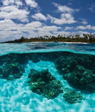 Must-visit Pacific Islands: Mare, New Caledonia