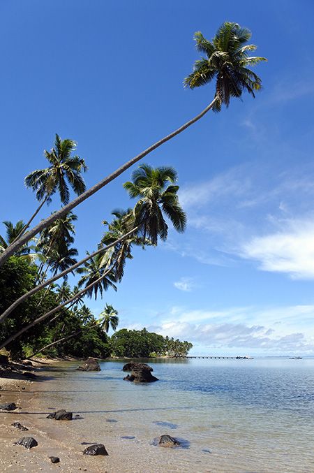 Tropical Beach in Savusavu, Vanua Levu, Fiji