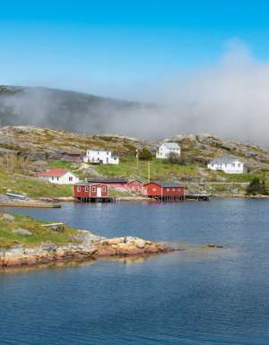 Newfoundland