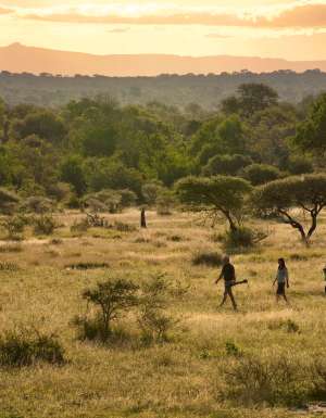 Bush walk through the Sabi Sands Game Reserve, South Africa.
