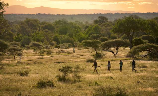 Bush walk through the Sabi Sands Game Reserve, South Africa.