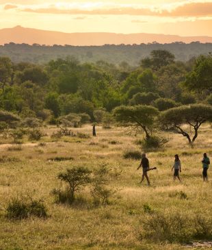 King of the safaris – Lion Sands River Lodge
