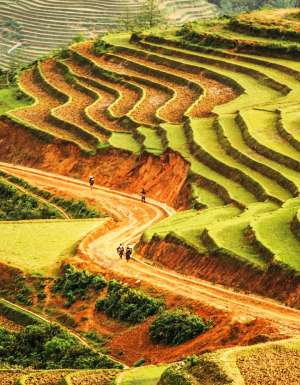 Riding through the farms of Dalat on motorbike.