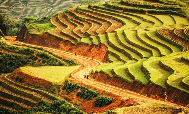 Riding through the farms of Dalat on motorbike.