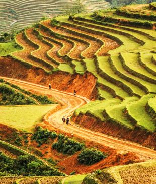 Vietnam on a scooter: the ultimate scenic adventure