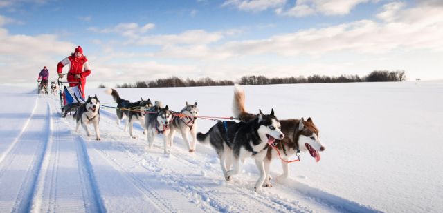 Try dog-sledding with huskies through Norway