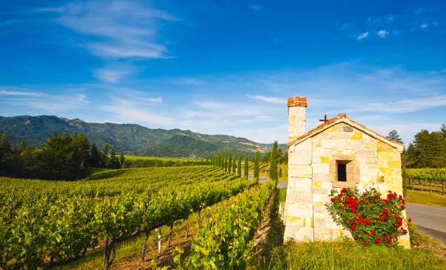 Welcome to California's wine country, Napa Valley.