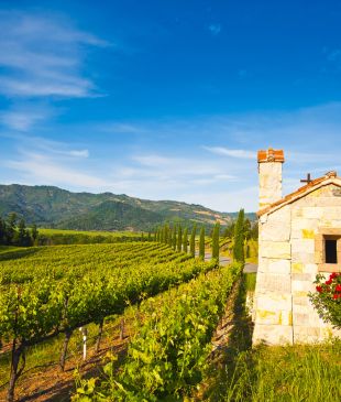 The gourmet’s guide to Napa Valley