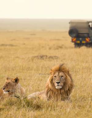 World's best animals encounters.