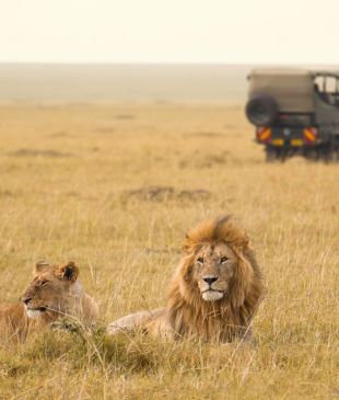 World’s Top 10 Animal Encounters
