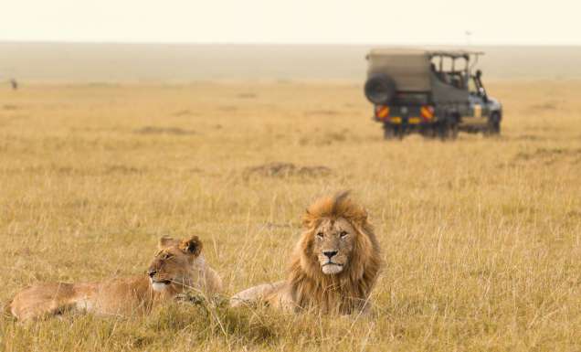 World's best animals encounters.