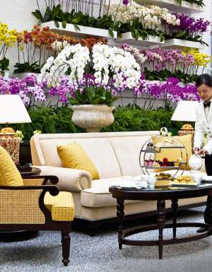 The Orchid Conservatory at The Majestic Hotel Kuala Lumpur.