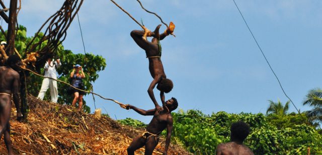 Land diver is saved from hitting the earth from the liana vines ties around his ankles