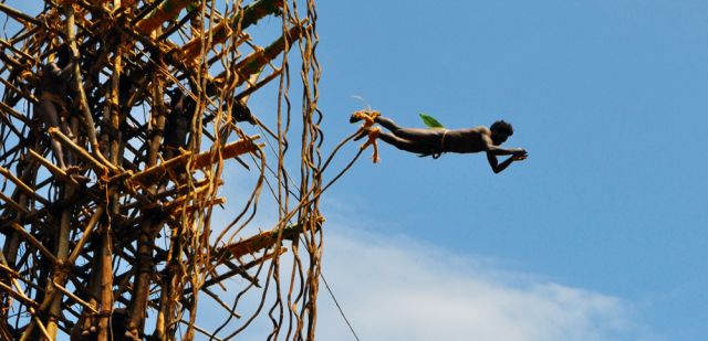 Game land diver from Pentecost Island launches off a 30-metre timber tower