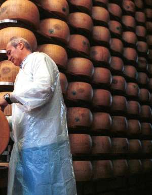 A consortium master checks the progress of the parmesan cheese for ageing in Parma, Italy.