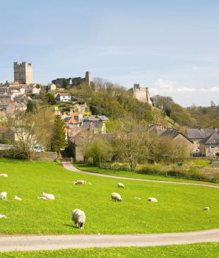 Where to find the finest cheese in England