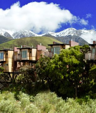 Five incredible tree houses for grown ups