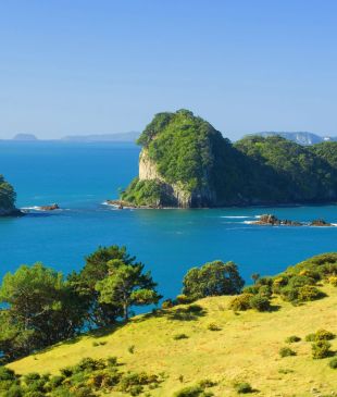 Your ultimate five-day itinerary across the North Island
