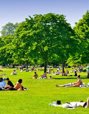 Hyde Park, London.