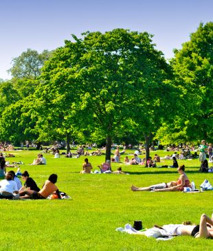 London’s best parks, gardens and heaths