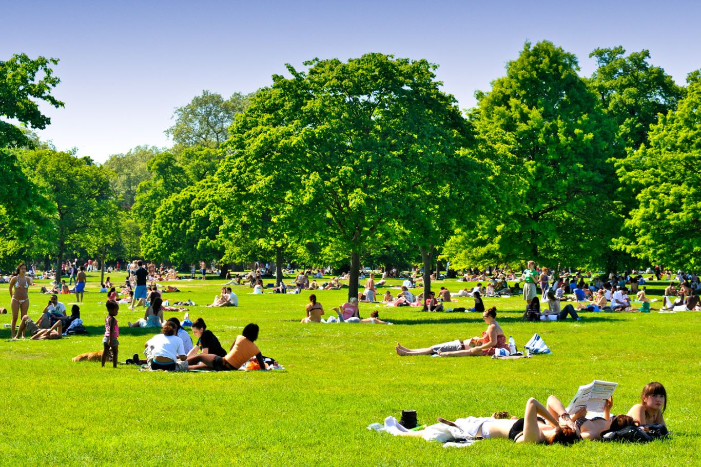 hero media