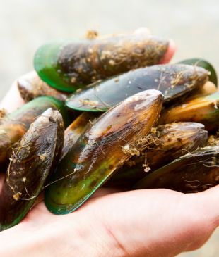 New Zealand’s greatest gourmet experiences