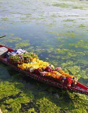 A flower seller on Kashmir's Nagin Lake.