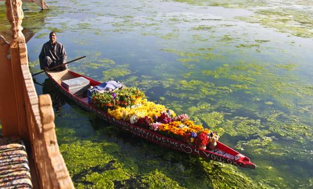 A flower seller on Kashmir's Nagin Lake.