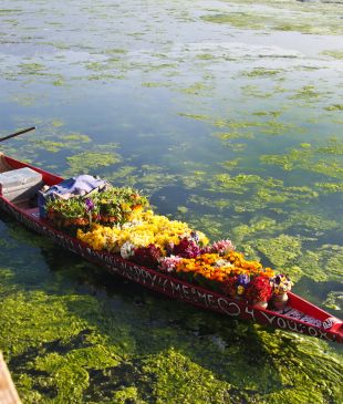 The mystique of Kashmir by houseboat