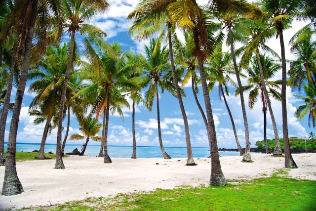 Comoros, Mozambique Channel