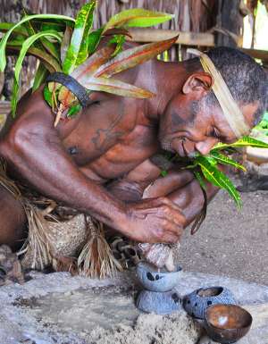 Chief making kava at Leweton Cultural Village, Vanuatu.