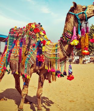 6 bizarre cultural rituals worth witnessing