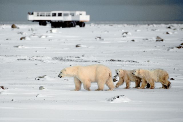 Frontiers North Legendary Cape Churchill Expedition, Canada.