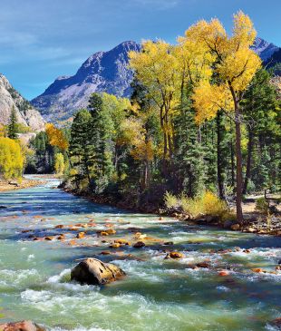 Aspen in summer – is it even better than in winter?