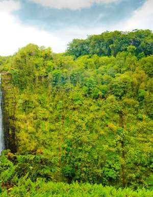 ‘Akaka Falls on the Big Island, Hawai'i.