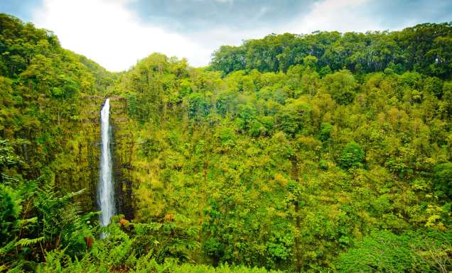 ‘Akaka Falls on the Big Island, Hawai'i.