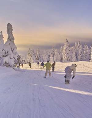 A guide to choosing where to Ski in Japan